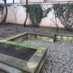 IMG-20250110-WA0000-1920w